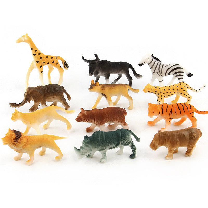 12 Animal Models