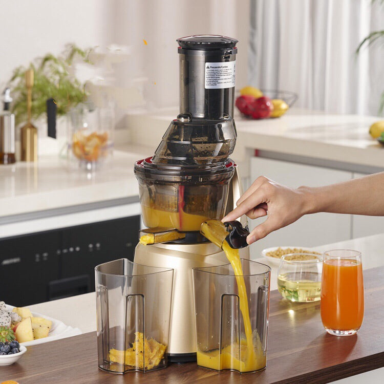 Mini Slow Juicer Screw - Cold Press Extractor - Patented Filter-Free Electric Fruit Vegetable Juicer Machine